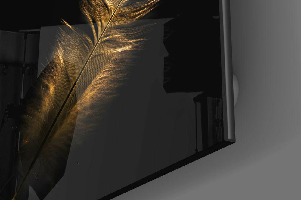 Golden Backlit Feather Glass Wall Art