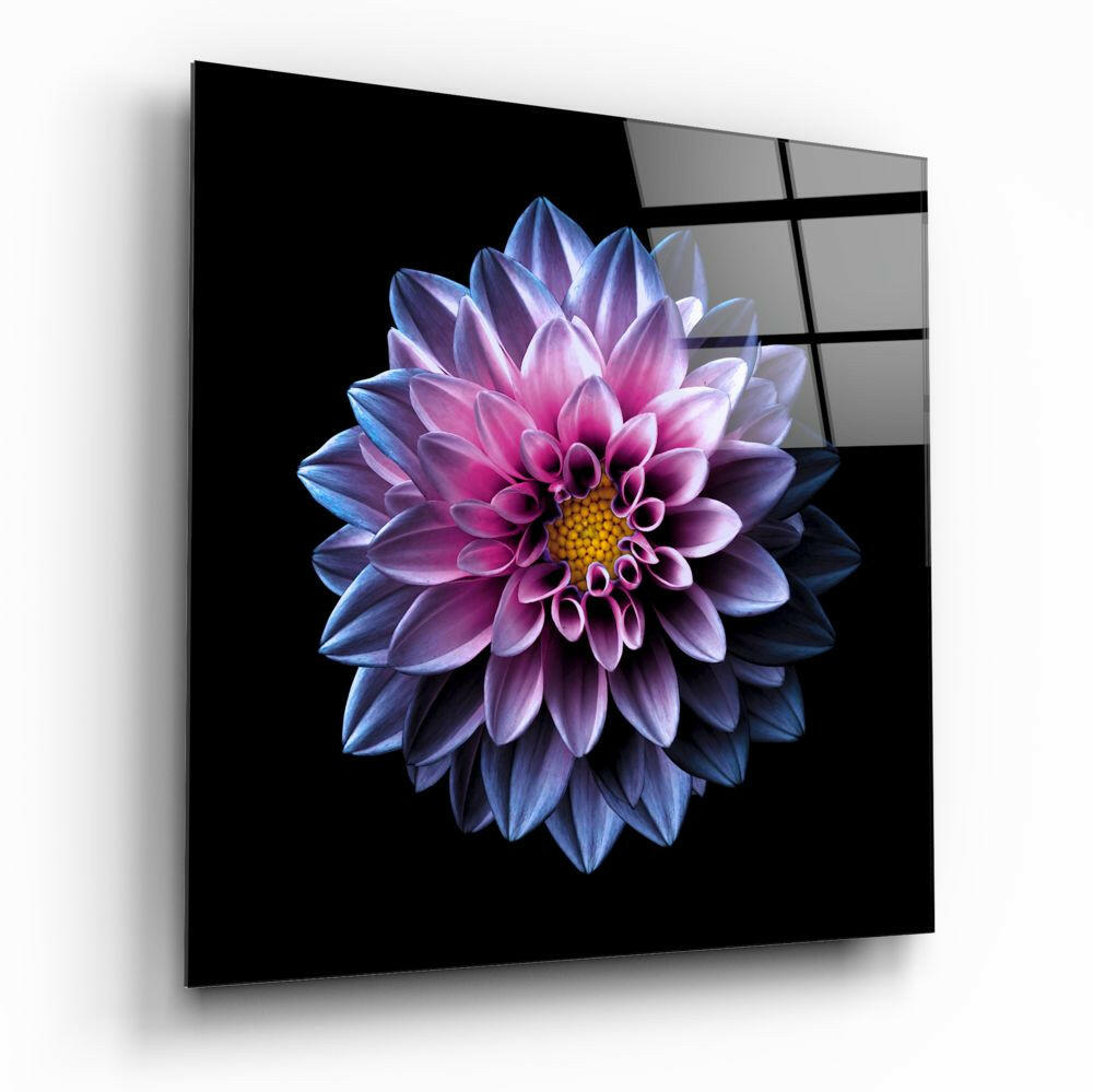 Purple Flower floral glass wall art hanging on a wall