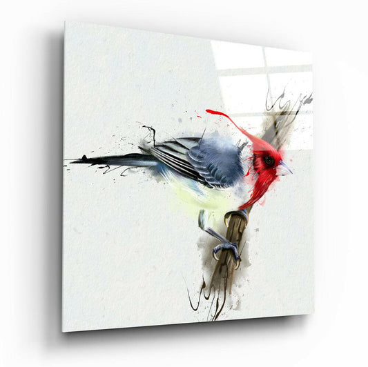 Red bird glass wall art - vivid red bird portrait printed on tempered glass, high-gloss finish