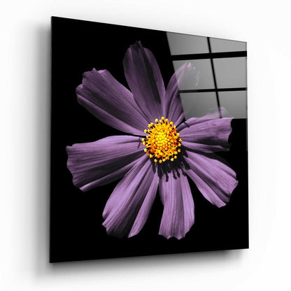 Pink Flower floral glass wall art on a wall