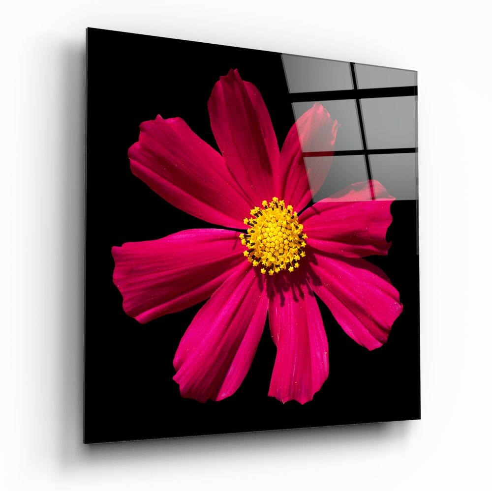 Red Flower floral glass wall art on a wall