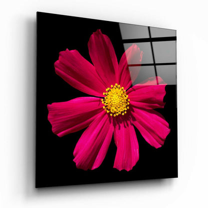 Red Flower floral glass wall art on a wall