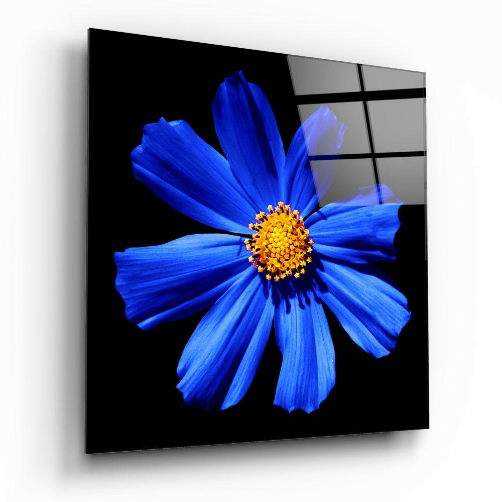Blue Flower glass wall art floral design