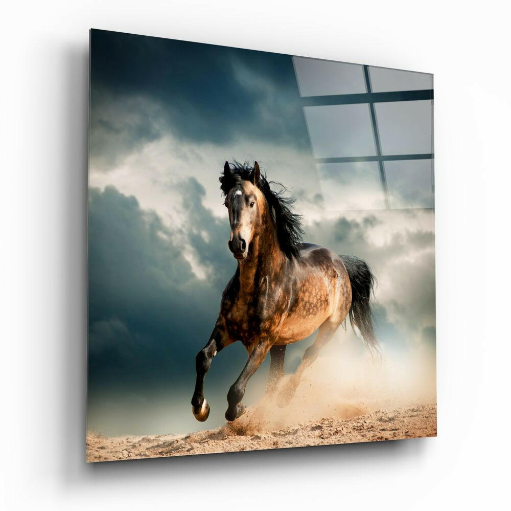 Running Horse animal glass wall art on a wall