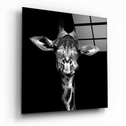Giraffe Glass Wall Art - bold giraffe design on tempered glass