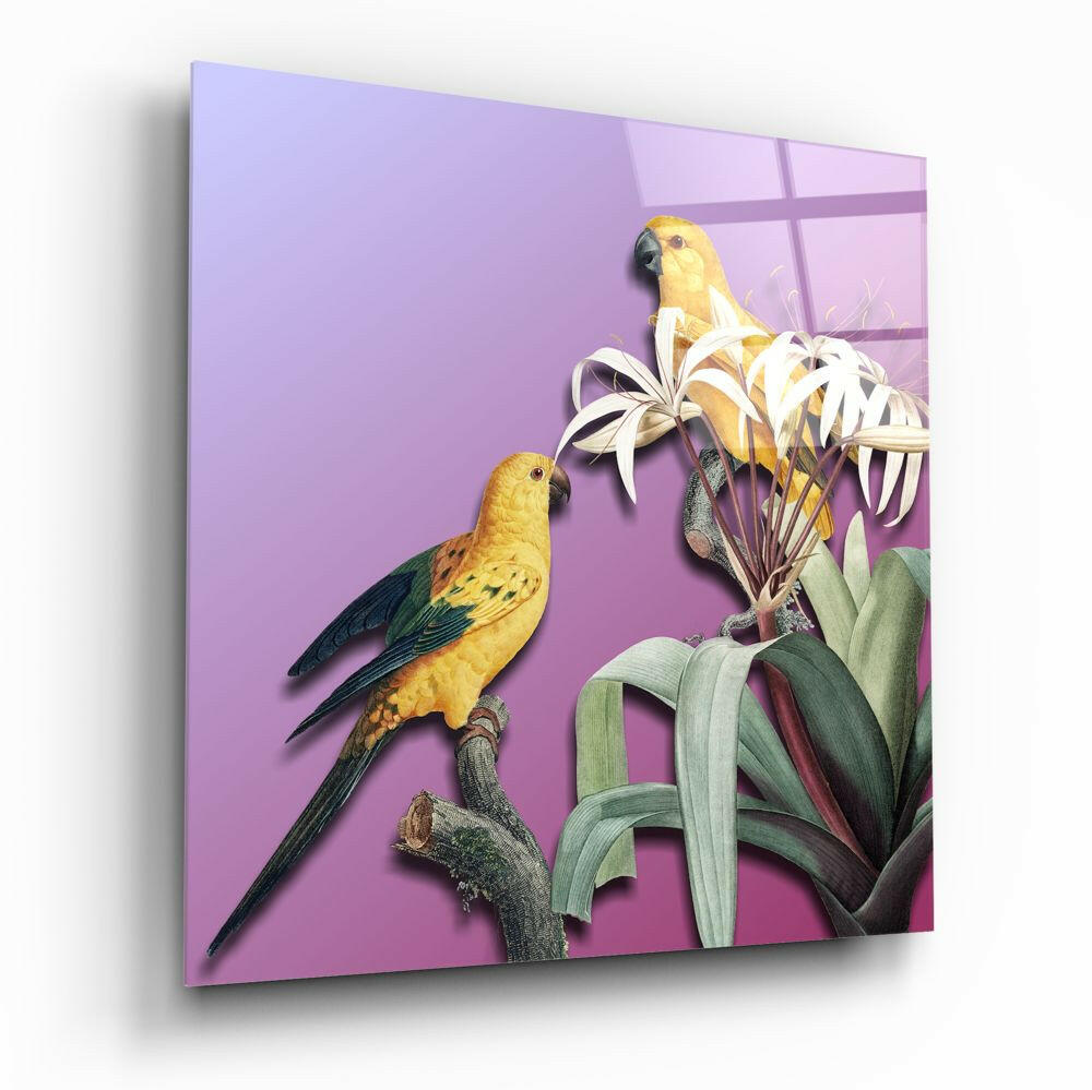 Parrot Glass Wall Art - colorful parrot design on tempered glass