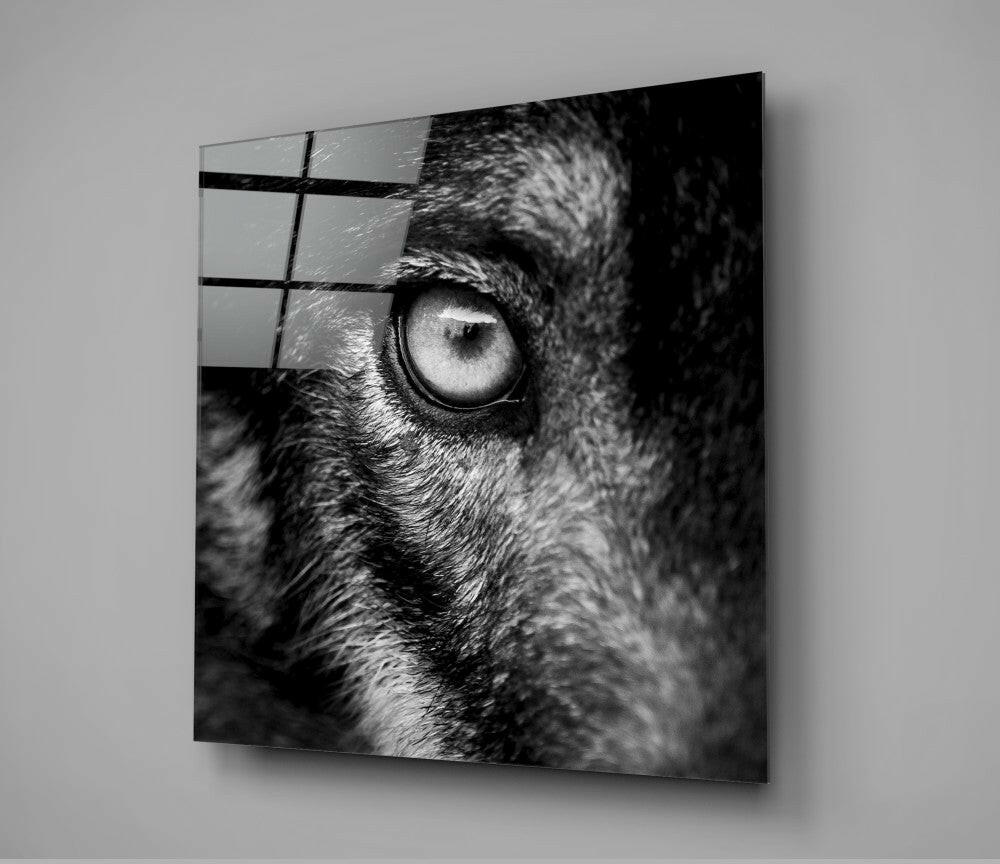 Wolf's Eye Glass Wall Art Close Up Print