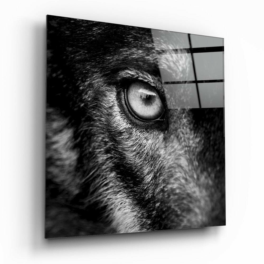 Close-up of a wolf's eye on glass wall art