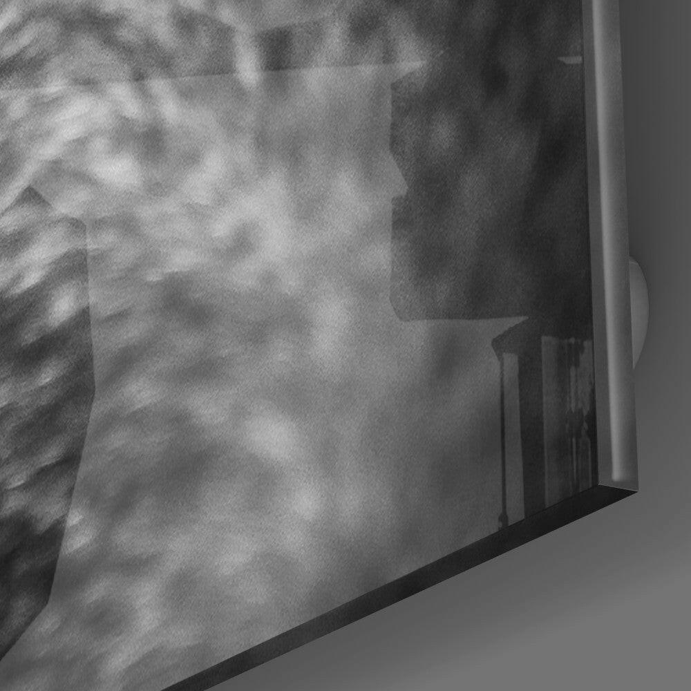 Wolf's Eye Glass Wall Art Close Up Print