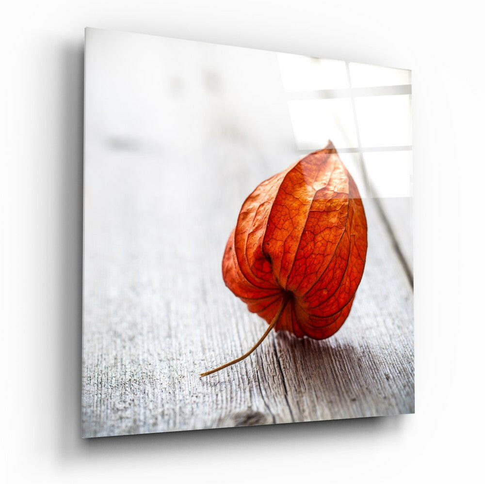 Dry Leaf Glass Wall Art - botanical leaf design on tempered glass