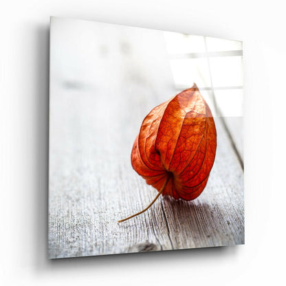 Dry Leaf Glass Wall Art - botanical leaf design on tempered glass