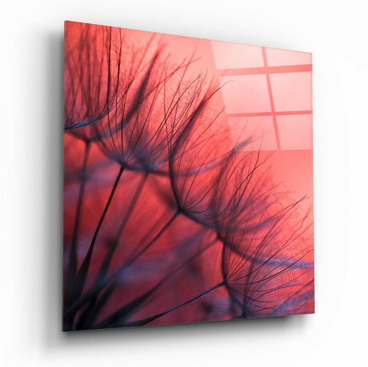 Red Dandelion Glass Wall Art - bold botanical tempered glass print
