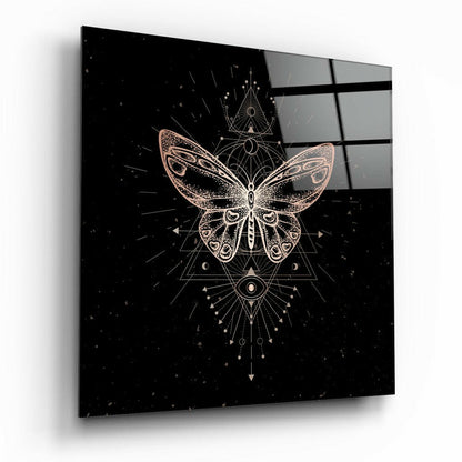 Da Vinci Style Butterfly Glass Wall Art tempered glass print, sketch-style butterfly