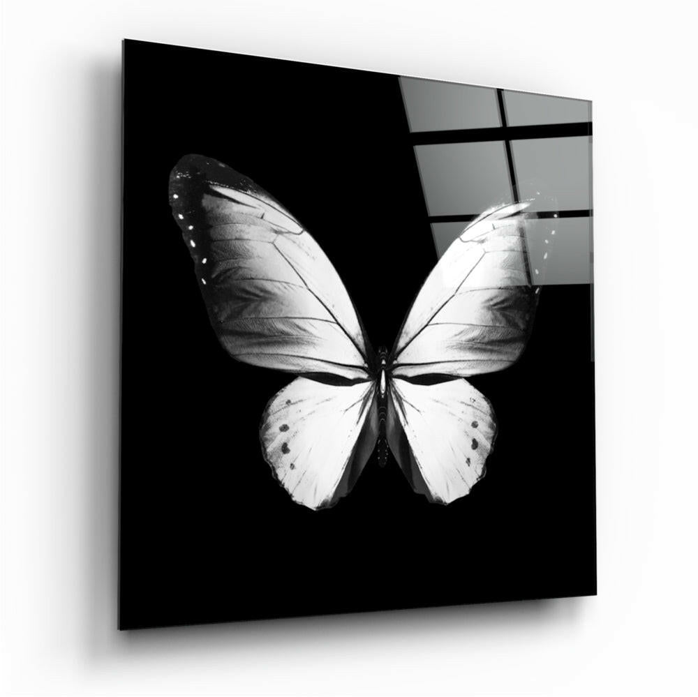Elegance of the Butterfly glass wall art tempered glass print