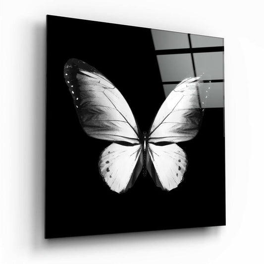 Elegance of the Butterfly glass wall art tempered glass print
