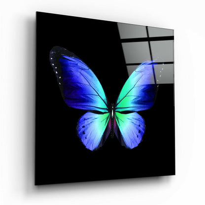 Elegance of the Butterfly glass wall art with high-gloss finish