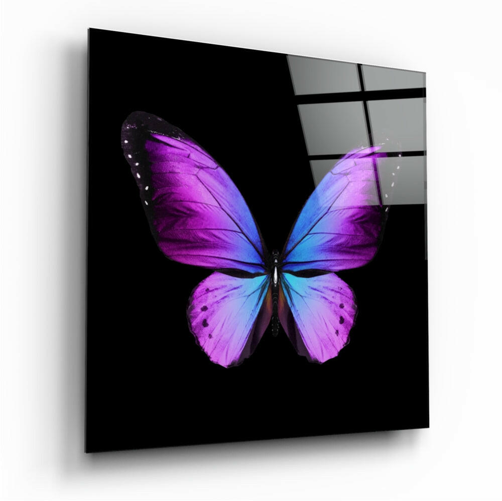 Graceful butterfly glass wall art print