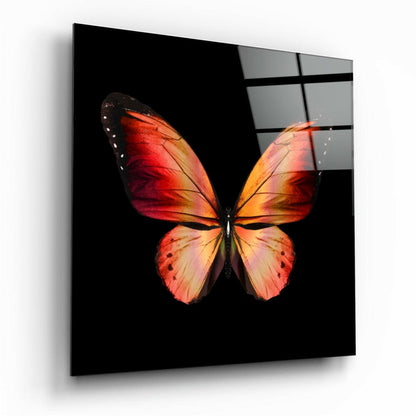 Elegant butterfly glass wall art print
