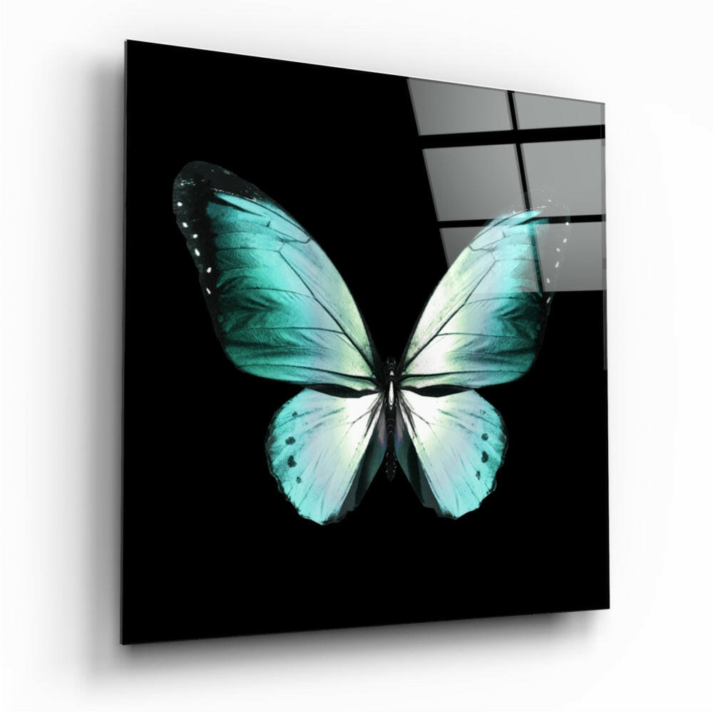 Butterfly glass wall art print