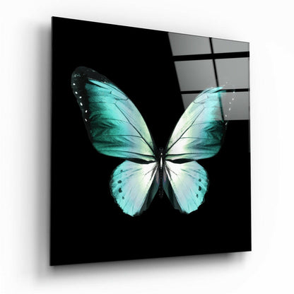 Butterfly glass wall art print