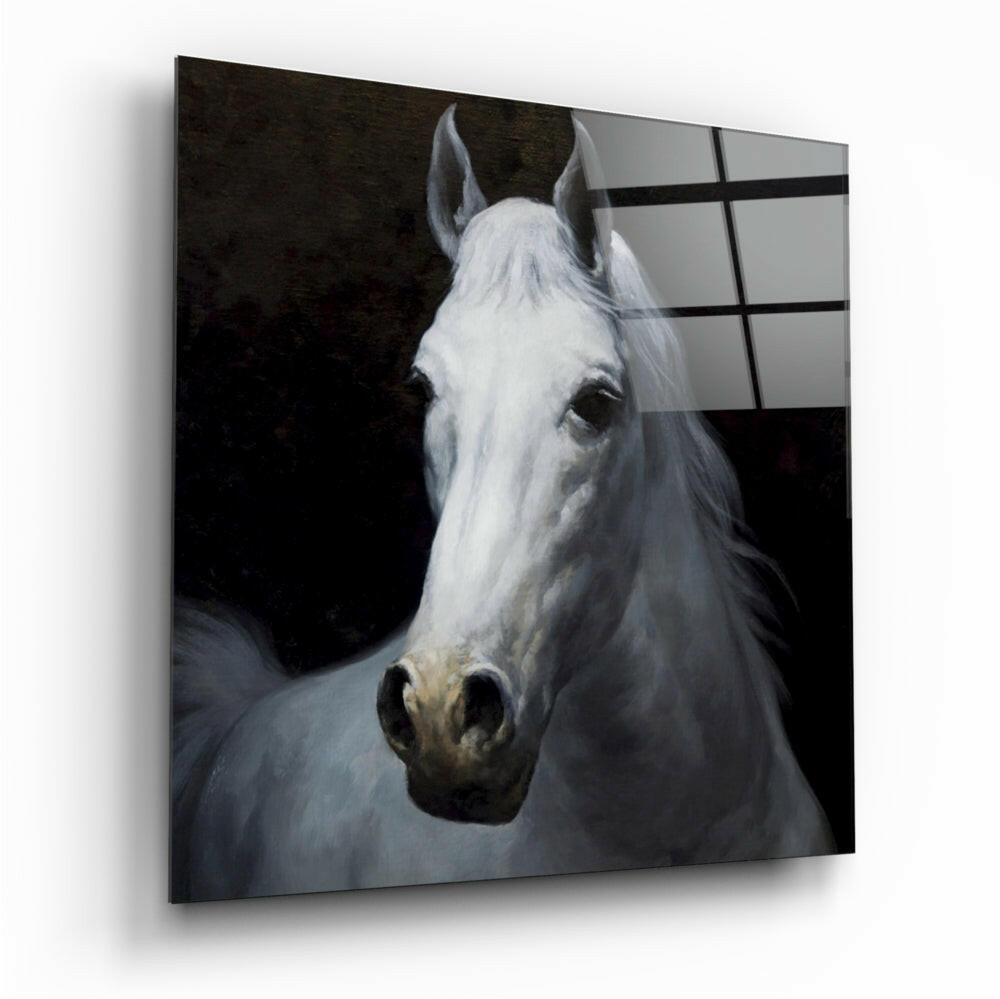 Horse glass wall art tempered glass print