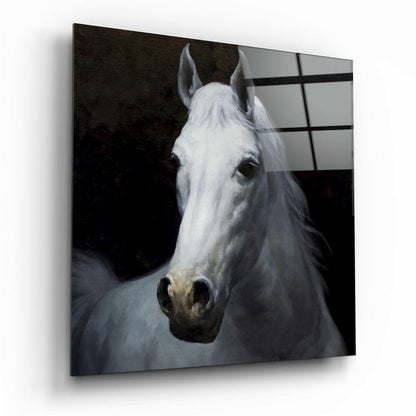 Horse glass wall art tempered glass print
