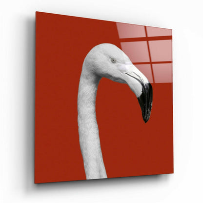 Flamingo glass wall art tempered glass print