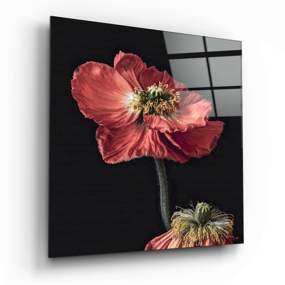 Flower Glass Wall Art - Floral Wall Decor