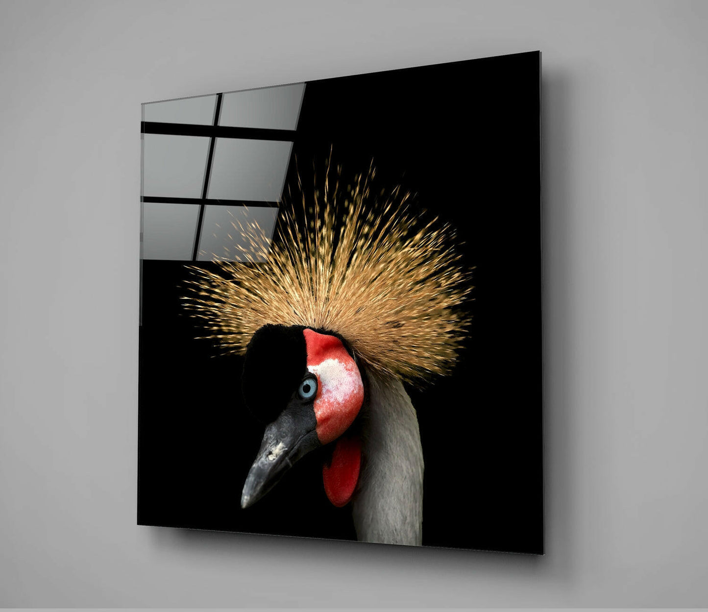 Black Crowned Crane Glass Wall Art