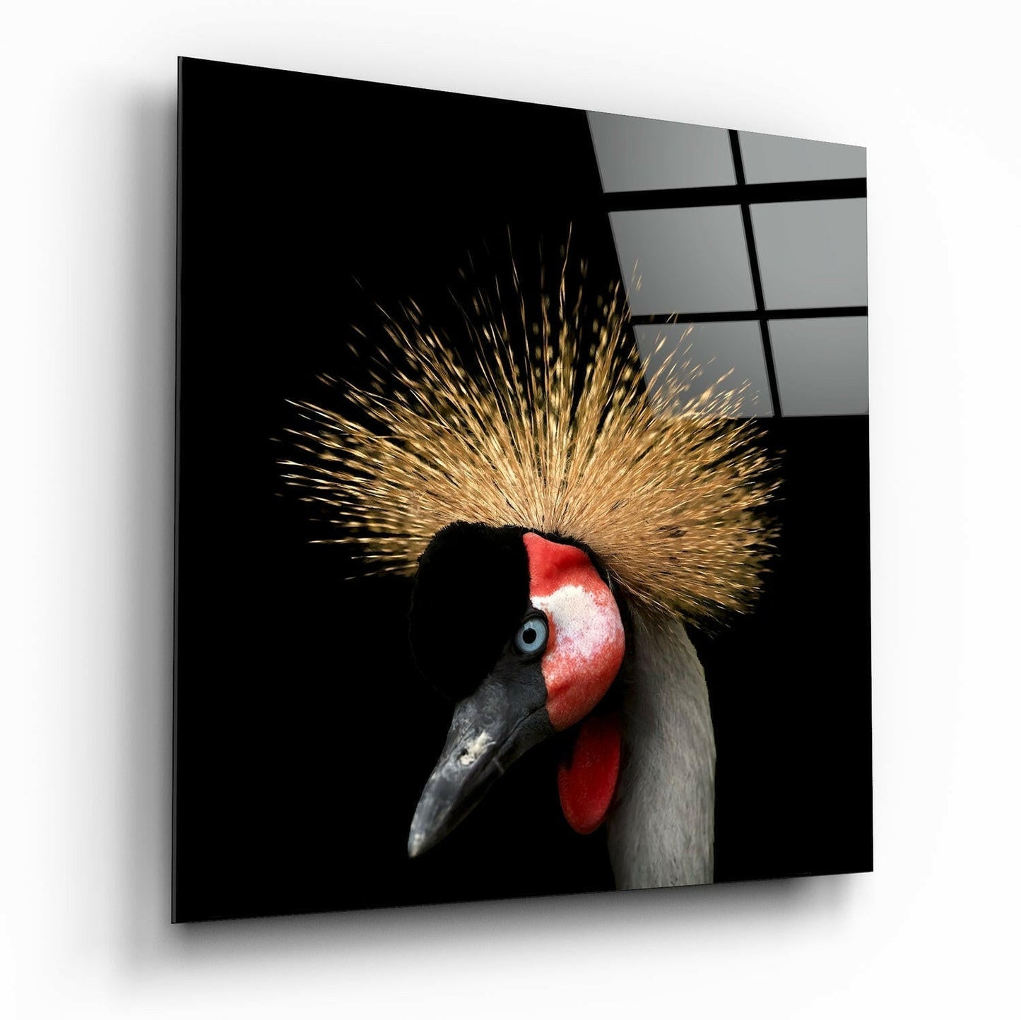 Black crowned crane bird glass wall art
