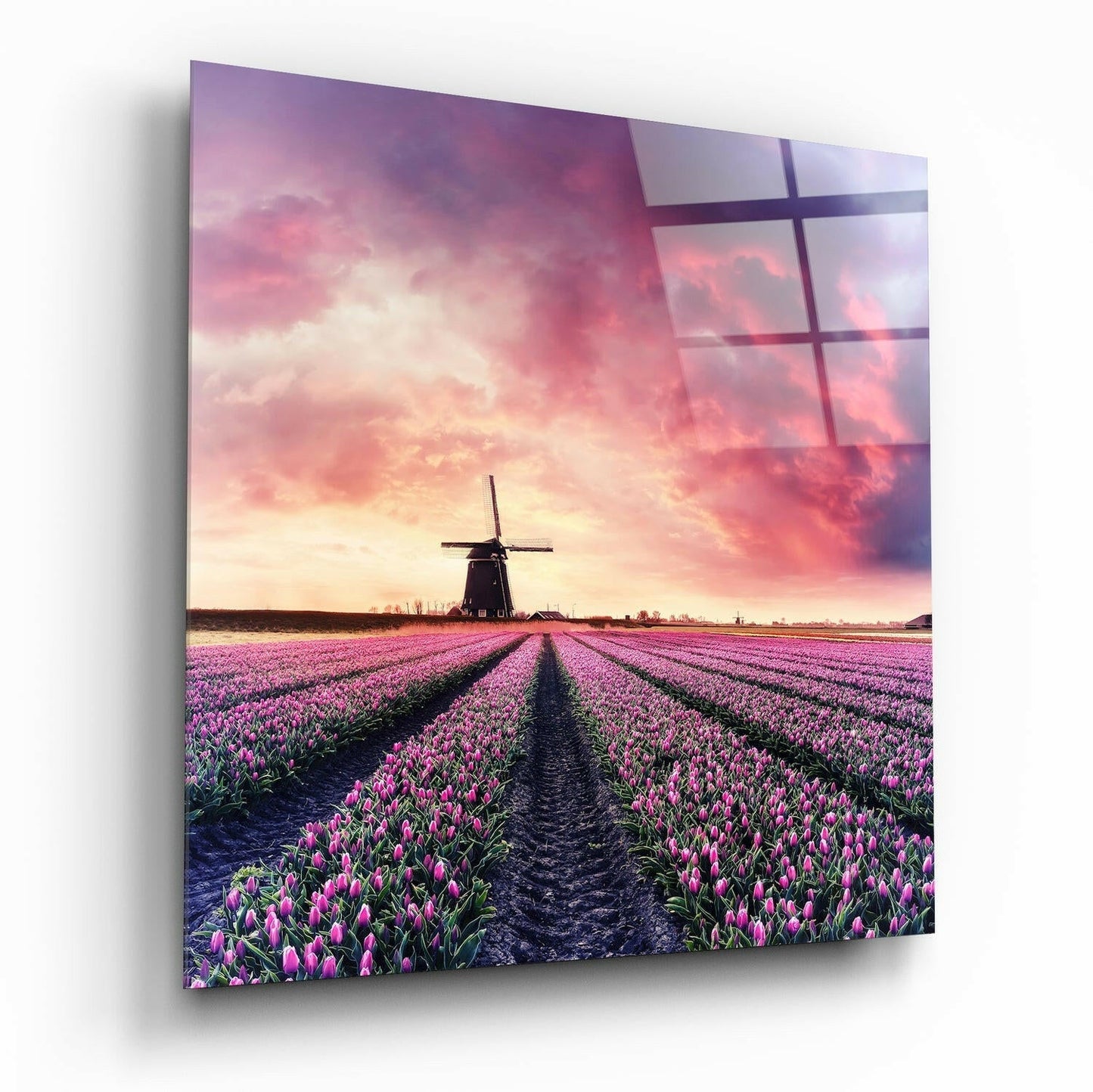 Tulip field glass wall art