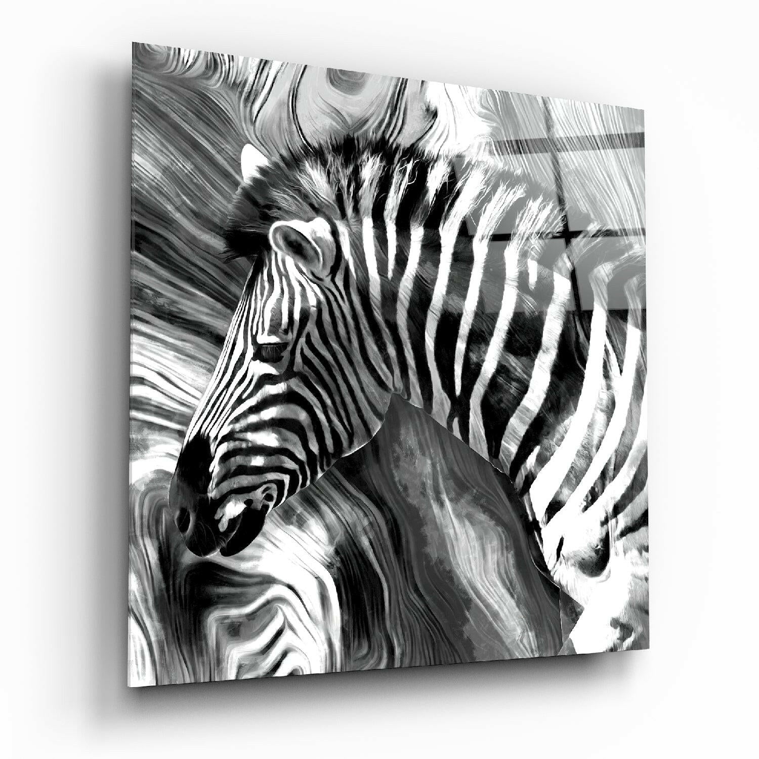 Zebra glass wall art printed on tempered glass