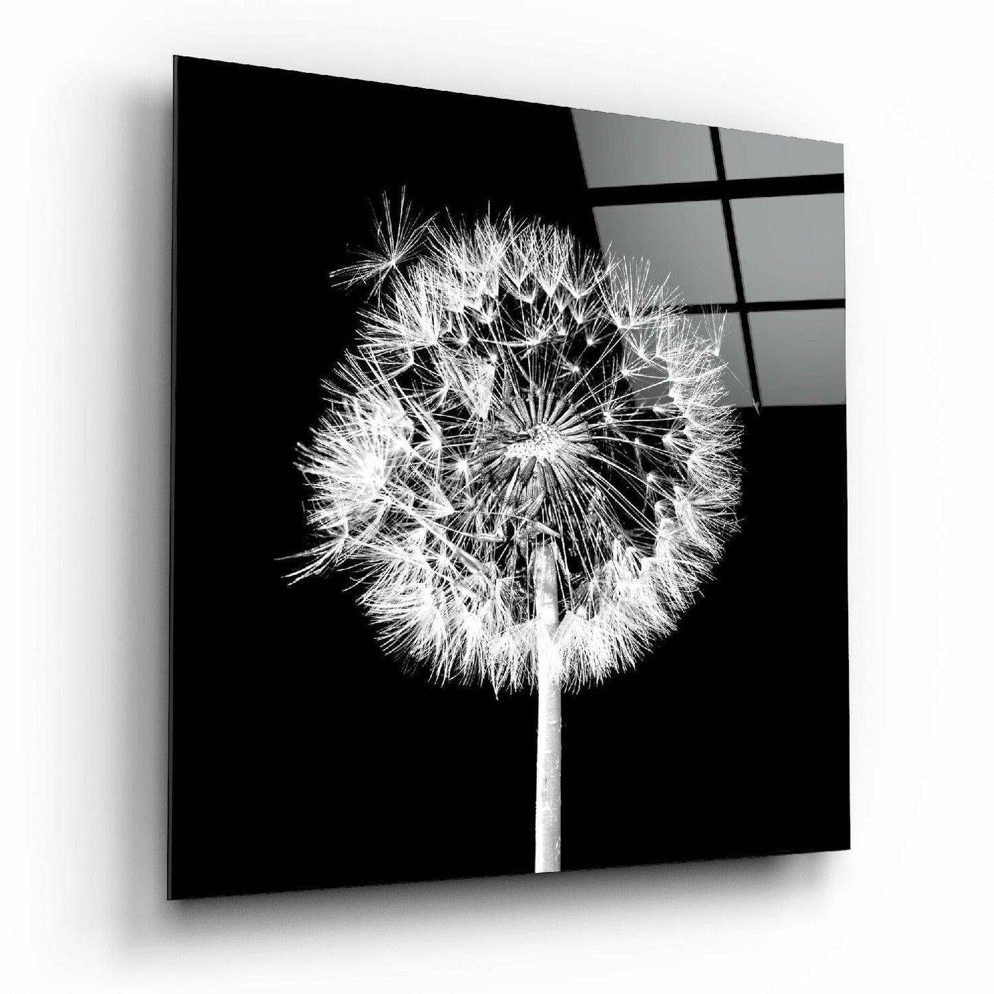 Dandelion glass wall art on living room wall