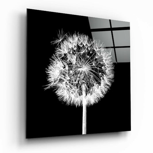 Dandelion glass wall art on living room wall