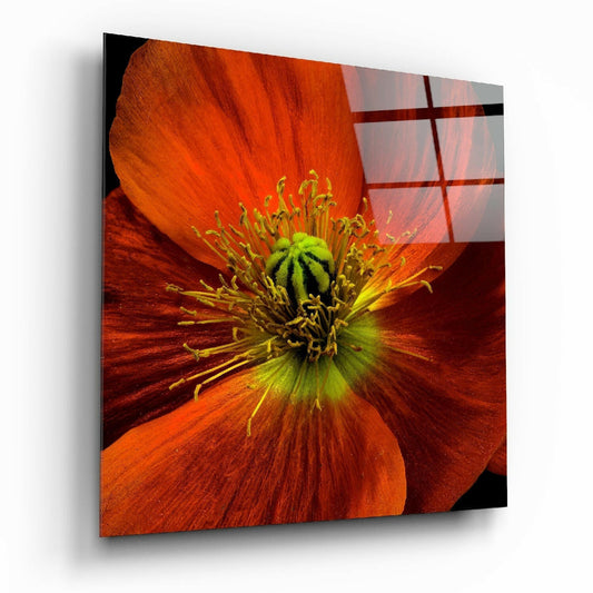 Flower glass wall art printed on tempered glass
