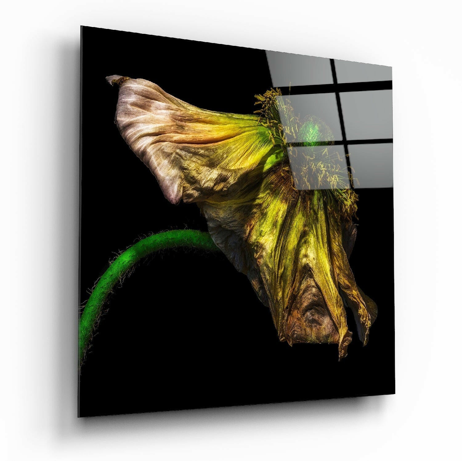 Flower glass wall art printed on tempered glass