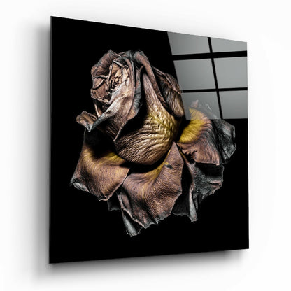 Dried rose glass wall art with romantic floral print and glossy finish