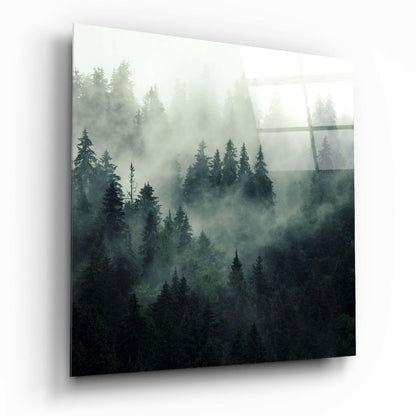 Foggy forest glass wall art on living room wall