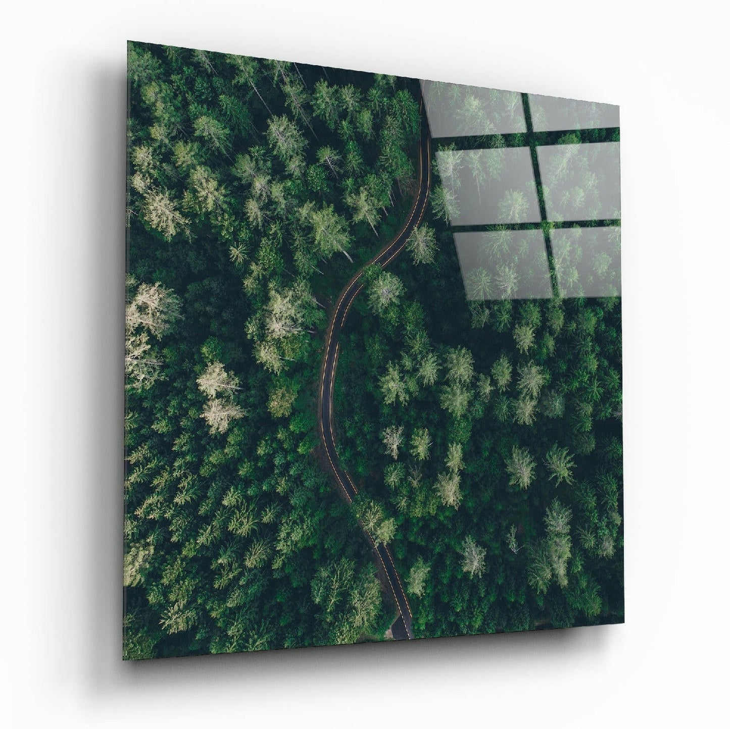 Forest Road glass wall art above living room sofa