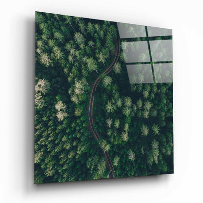 Forest Road glass wall art above living room sofa