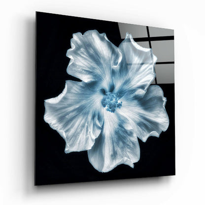 Flower glass wall art floral design