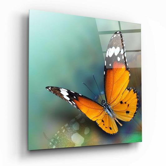 Butterfly glass wall art