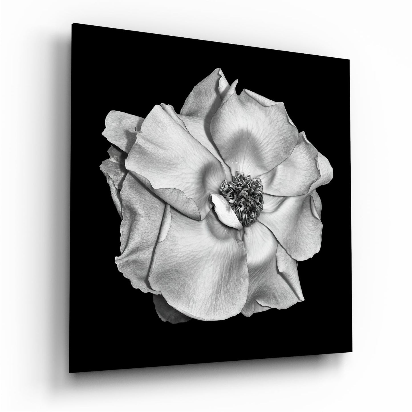 Flower Glass Wall Art printed on tempered glass