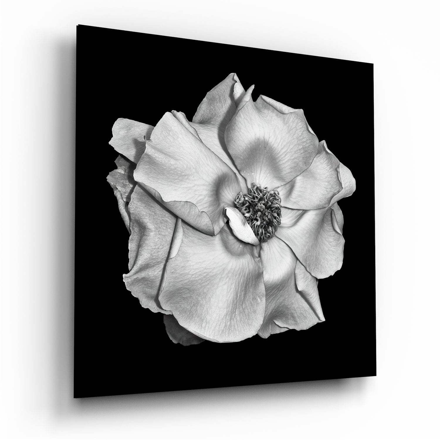 Flower Glass Wall Art printed on tempered glass