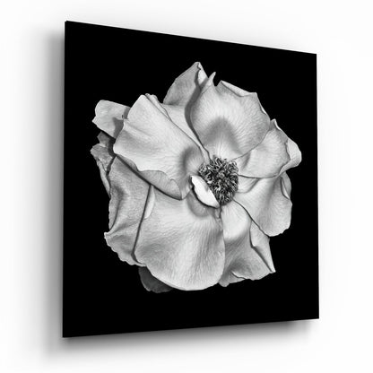 Flower Glass Wall Art printed on tempered glass