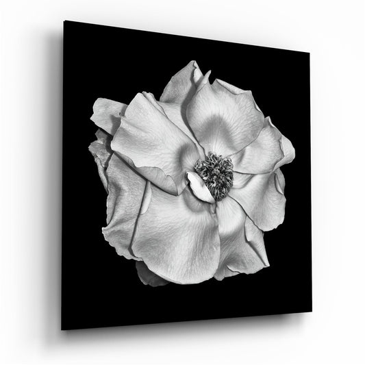 Flower Glass Wall Art printed on tempered glass