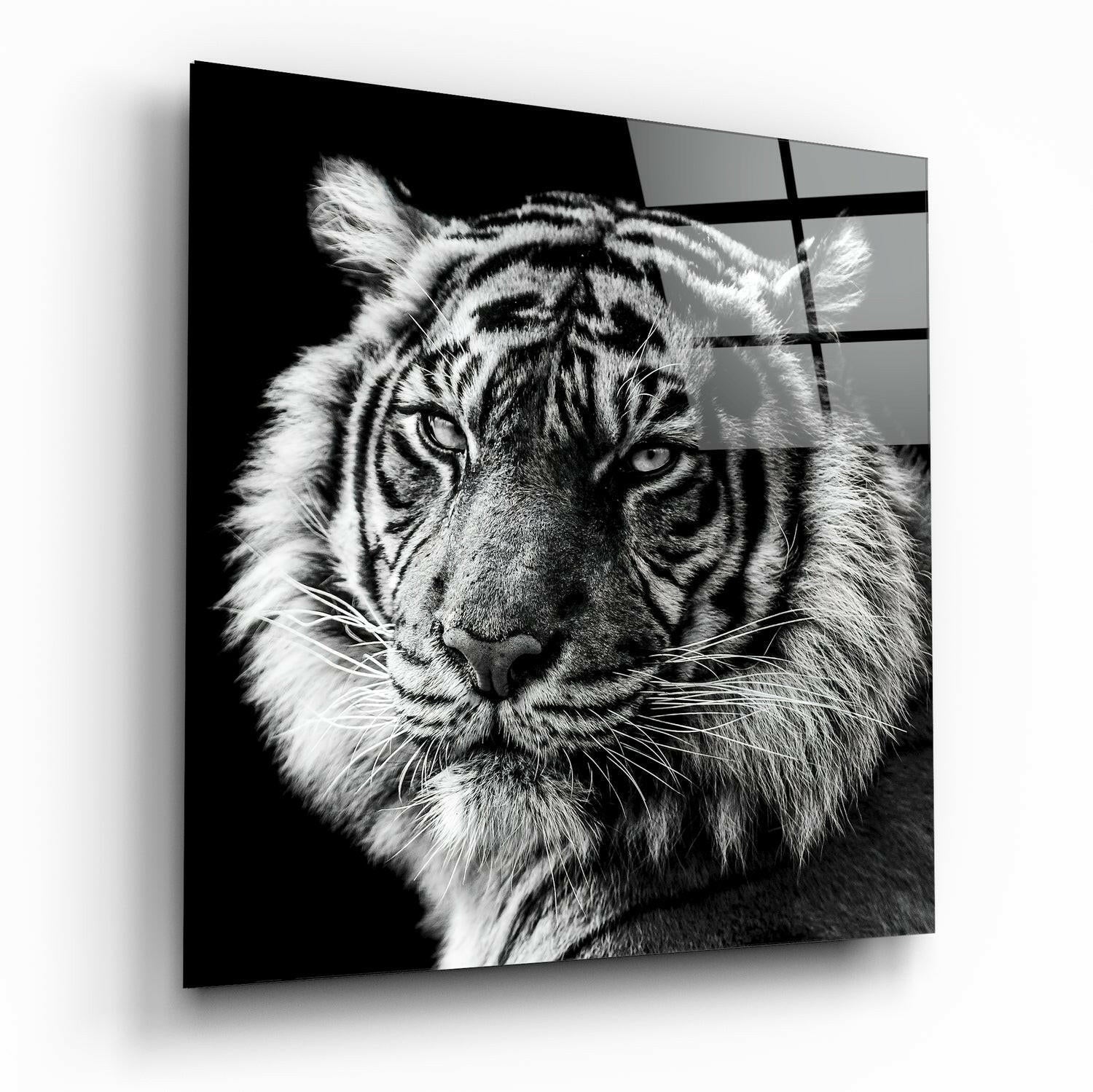 Tiger's Look Glass Wall Art printed on tempered glass