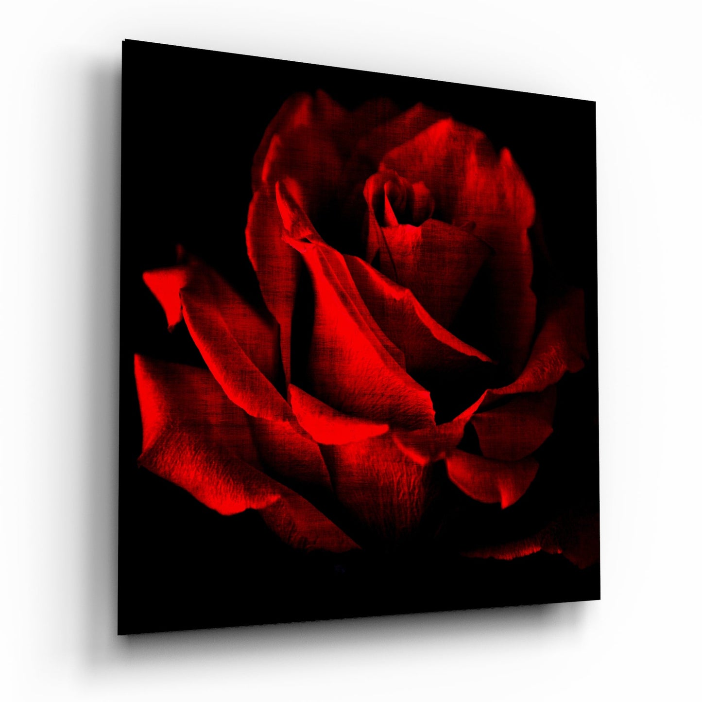 Red Rose glass wall art hanging on a wall