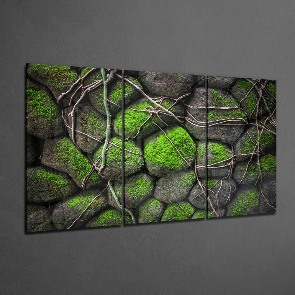 Mossy Stones Glass Wall Art