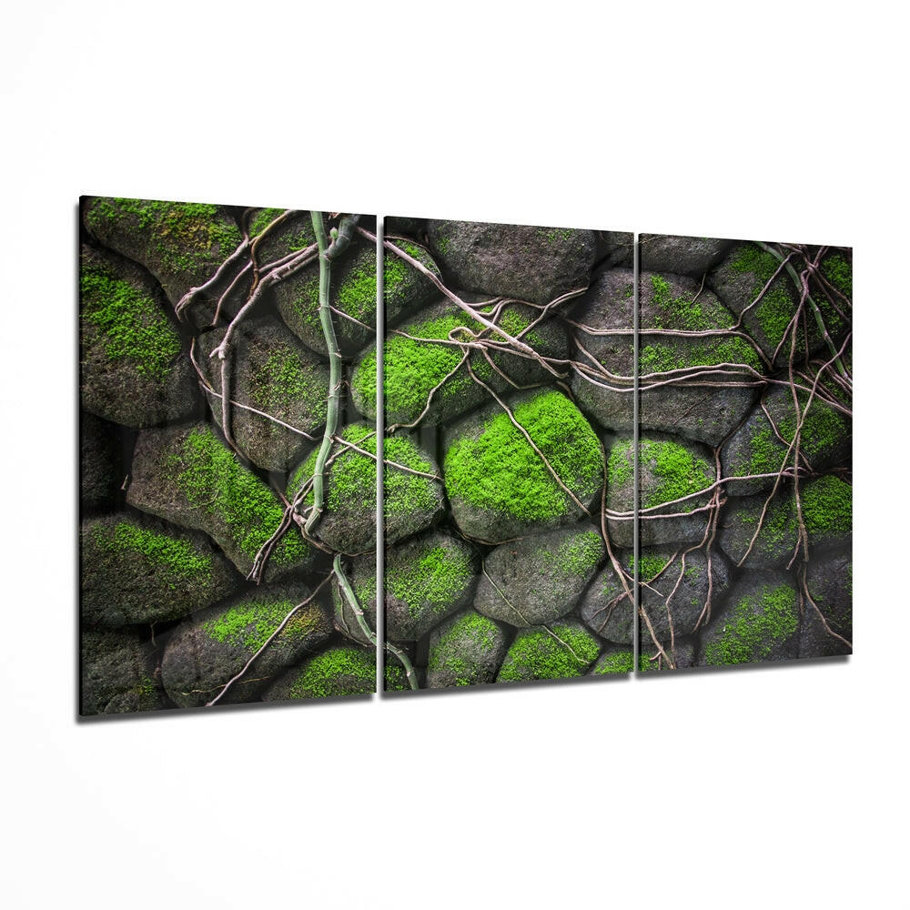 Mossy Stones Glass Wall Art